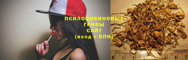 apvp Аркадак