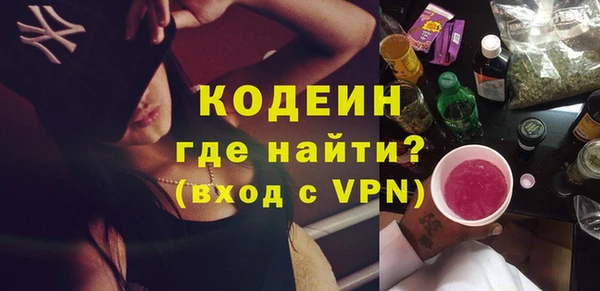 хмурый Арсеньев