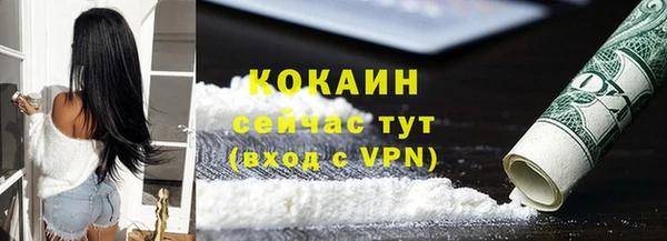 хмурый Арсеньев