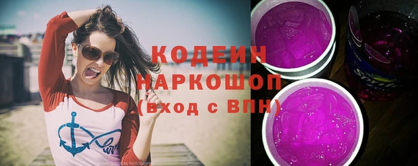 хмурый Арсеньев