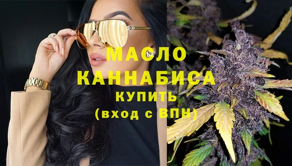 хмурый Арсеньев