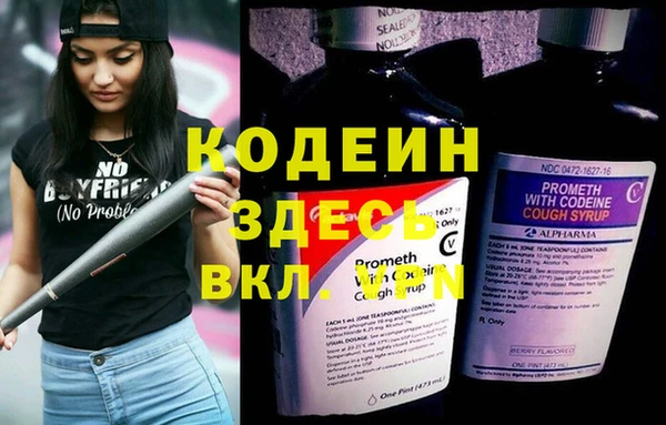 хмурый Арсеньев