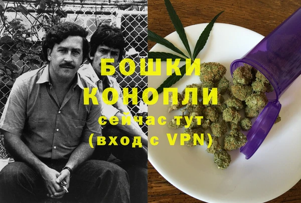 apvp Аркадак