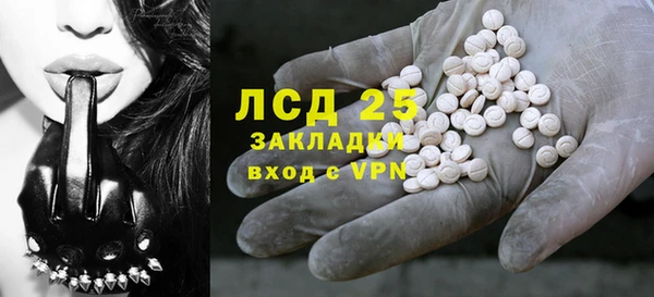хмурый Арсеньев