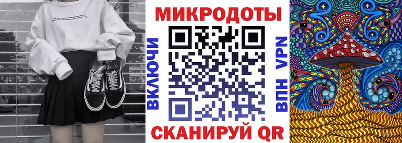 где продают наркотики Новокубанск Галлюциногенные грибы Psilocybe